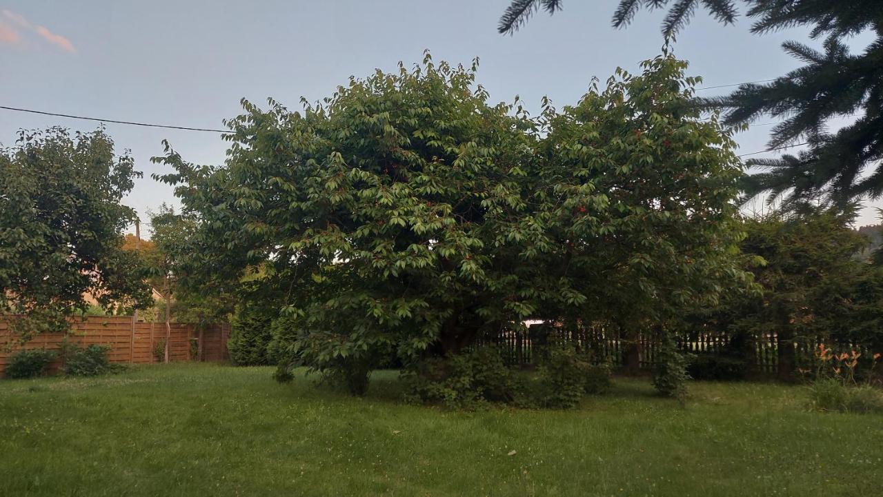 Apartamenty Stokrotka Lądek-Zdrój Exterior foto